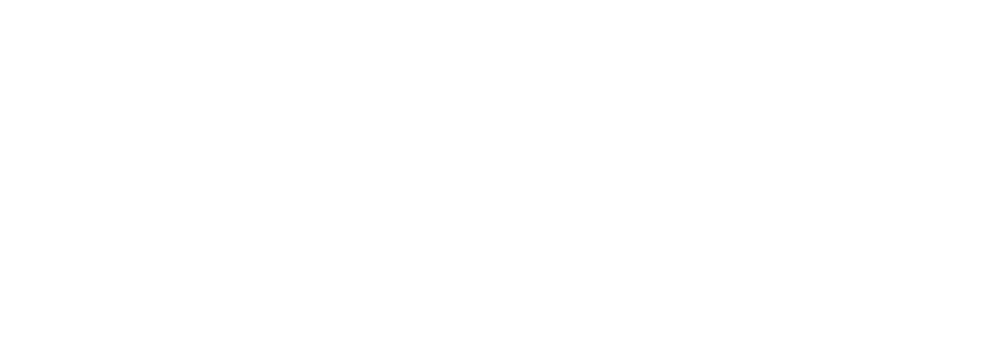 Conectando el Guanajuato del Futuro